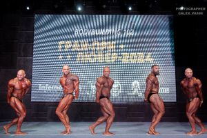 BODYBUILDING 102